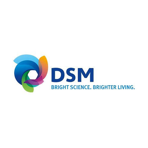 DSM NUTRITIONAL PRODUCTS LTD