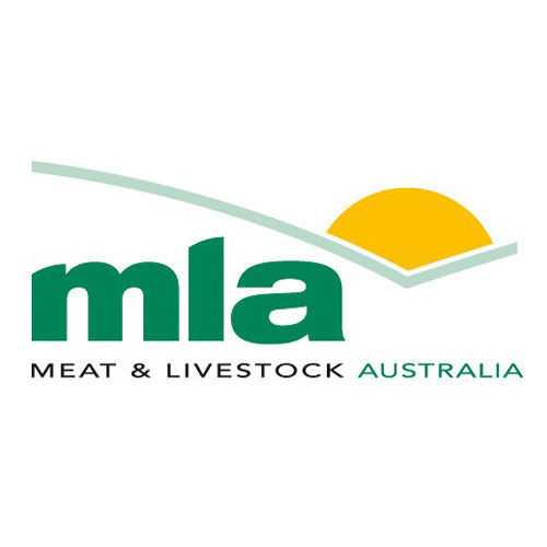 MLA