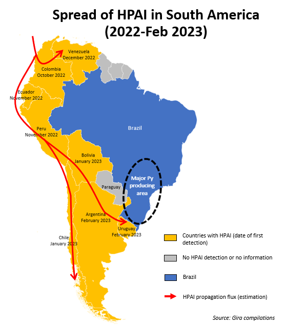 Spread of HPAI (Highly Pathogenic Avian Influenza) in South America